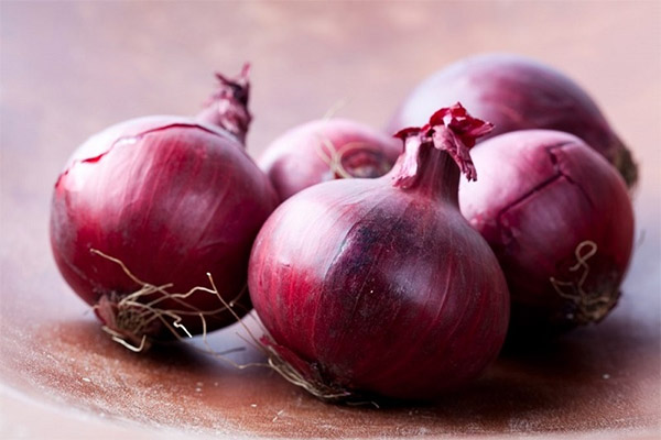 The use of blue onions in traditional medicine