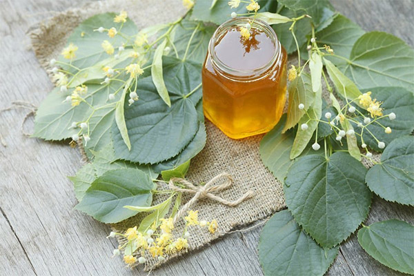 Recipes of folk medicine with linden honey