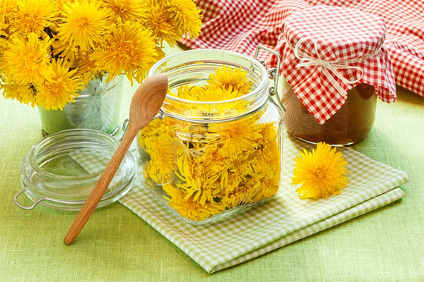 Dandelion jam without cooking