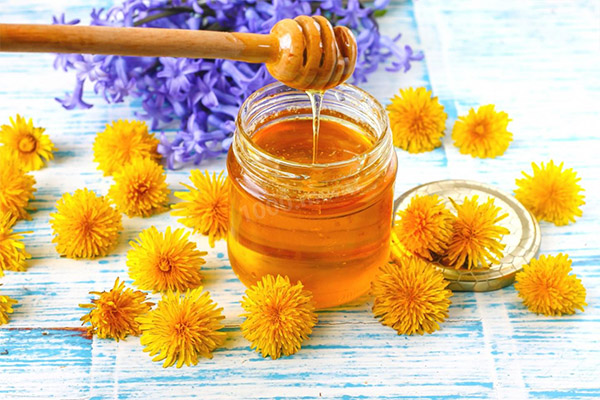 Jam (honey) of dandelions in medicine.