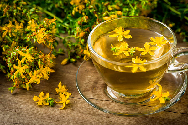 Types of medicinal compositions with St. John's wort
