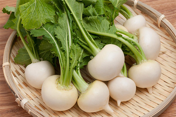 Turnip types and their benefits