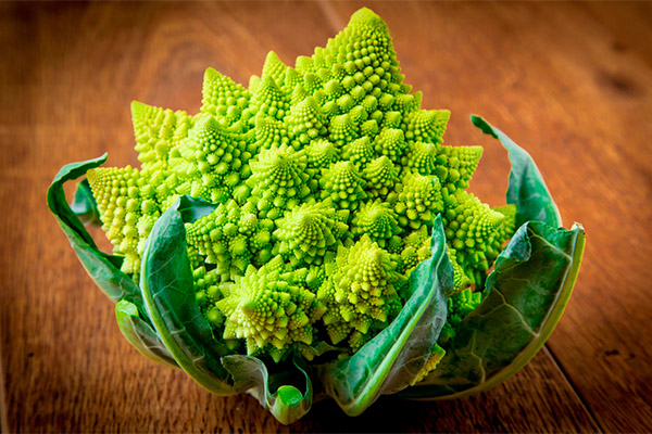 Harms and contraindications of Romanesco cabbage