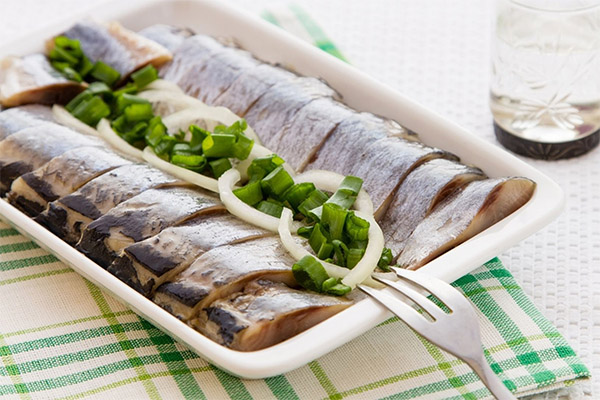 What is useful herring