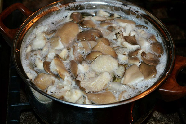 How to boil milk mushrooms