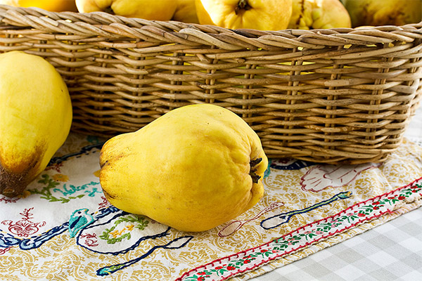How to Select and Store Quince