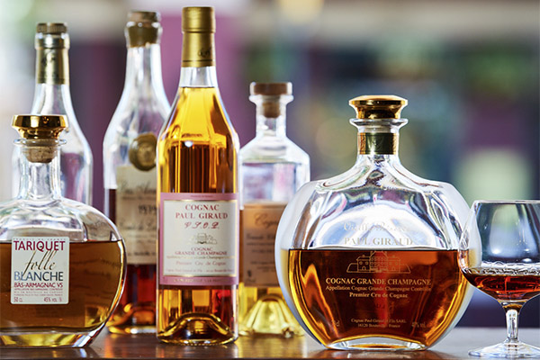 How to choose and keep cognac