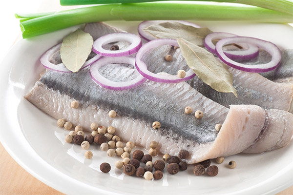 How to salt herring