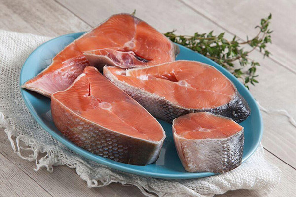 Useful properties of chum salmon
