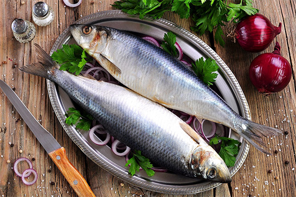 The benefits and harms of herring