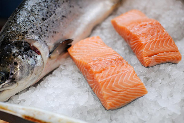 What are the benefits of salmon