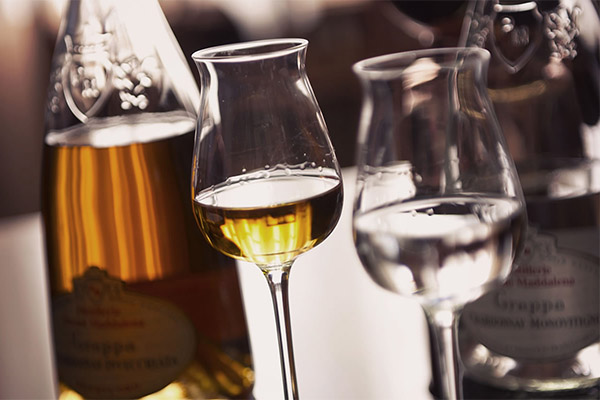 How to drink grappa