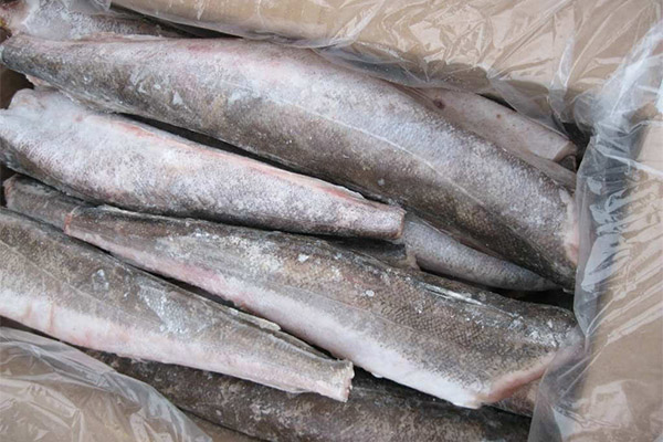 How to choose and store hake fish