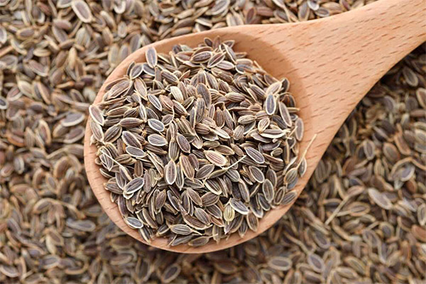 What seeds you can and can't eat with hemorrhoids