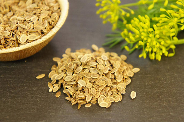 What seeds can and what shouldn't be eaten with pancreatitis
