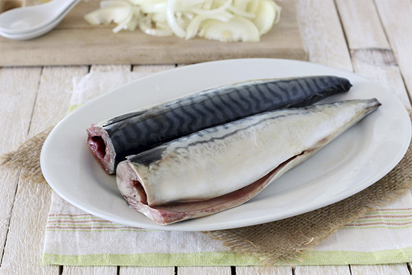 What fish and seafood can and cannot be eaten with gastritis