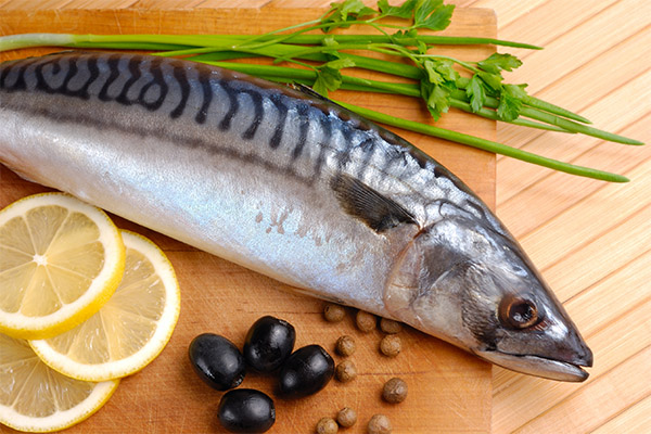 What fish and seafood can and cannot be eaten with pancreatitis