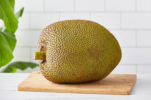 What can be made from jackfruit