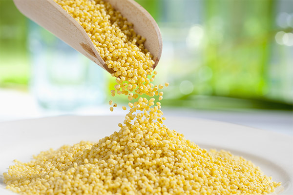 Interesting facts about millet