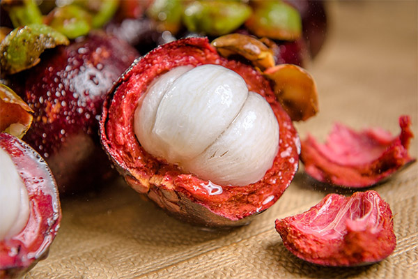 Interesting Facts about the Mangosteen