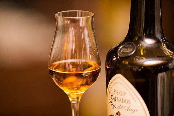 How to drink Calvados
