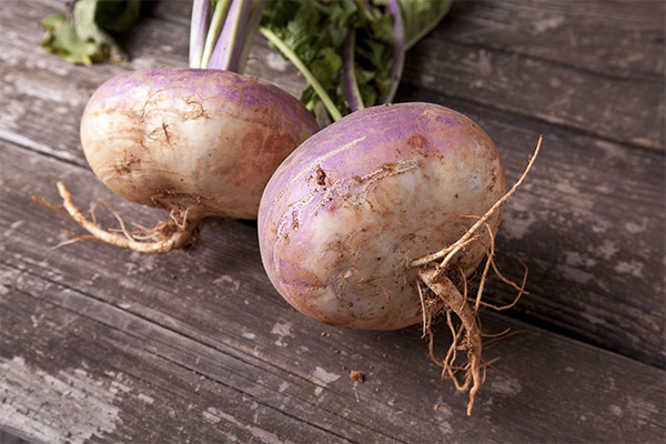 The benefits and harms of rutabaga
