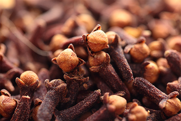 Interesting facts about cloves
