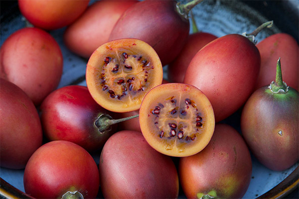 How to choose and store the tamarillo