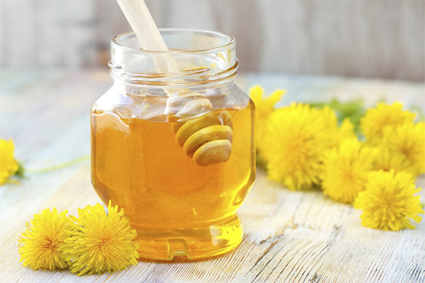 Avantages et inconvénients du miel de pissenlit