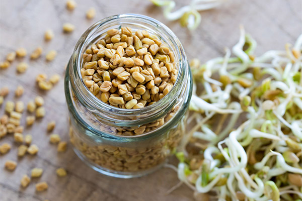 How useful are sprouted fenugreek seeds