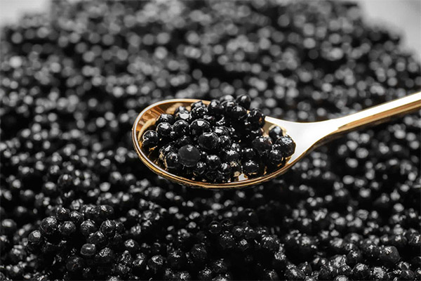 How to serve and eat black caviar
