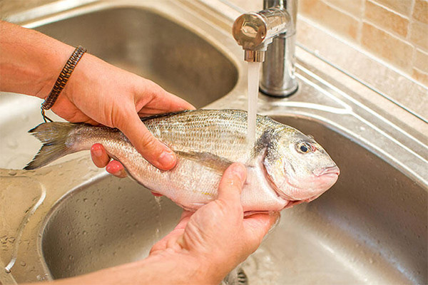魚の水煮の解凍方法