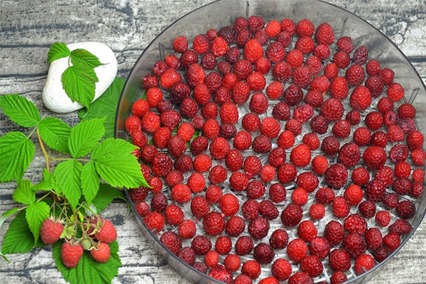 How to Dry Raspberries in the Dryer