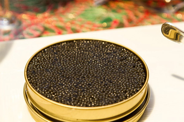 Basic rules for keeping caviar