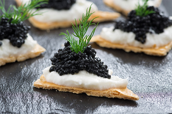 Recipes for dishes with black caviar