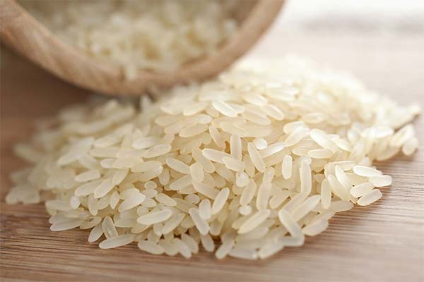 What are the dangers of rice during lactation?