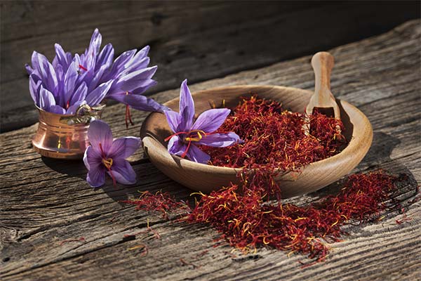 How not to make a mistake when buying saffron
