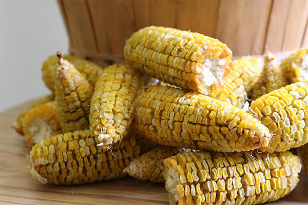 How to Dry Corn