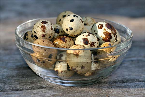 How to check the freshness of quail eggs