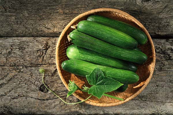 Can cucumbers harm a future mother?