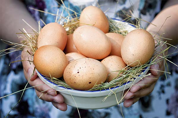 The benefits of eggs during pregnancy