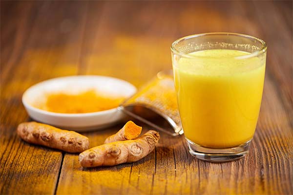 The use of golden milk in traditional medicine