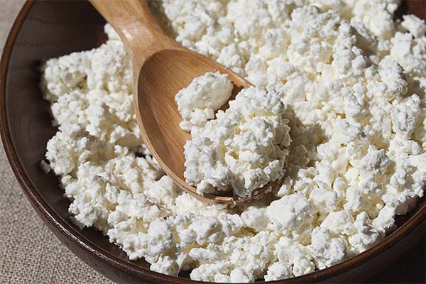 What are the dangers of cottage cheese during lactation