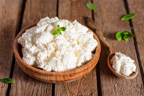 How to choose a good cottage cheese in the store