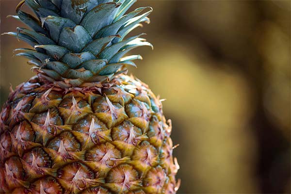 How to choose a ripe pineapple in the store
