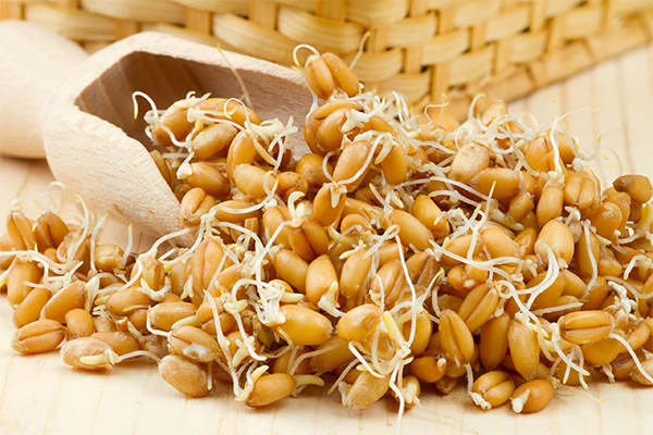 小麦胚芽を食べて痩せる方法
