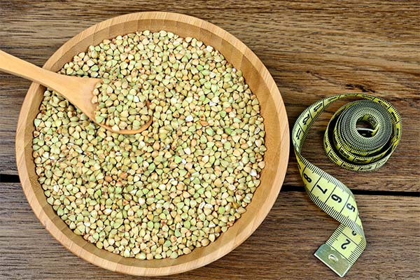 Green buckwheat for weight loss