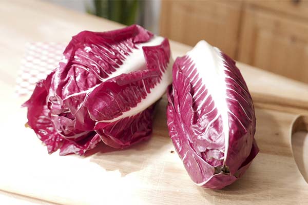 How to eat radicchio lettuce