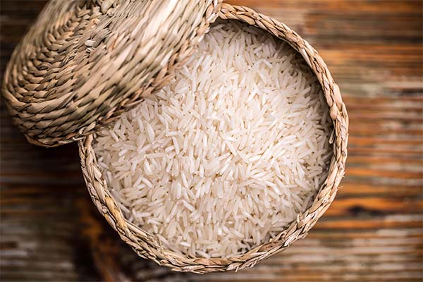 Benefits and harms of basmati rice