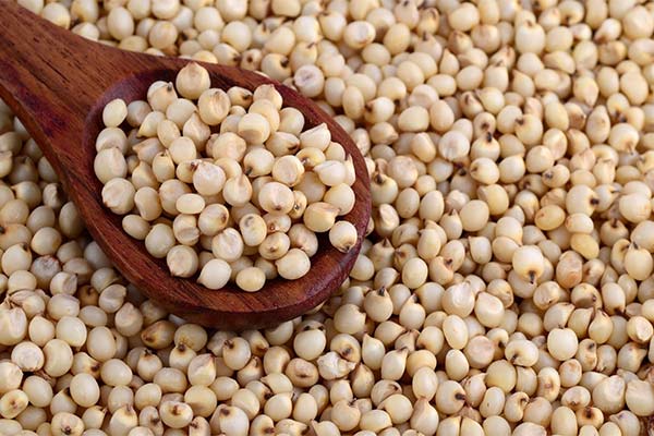 What can be cooked from sorghum